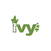 Ivy repository